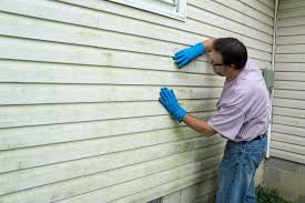 Best Wood Siding Installation  in Juarez, TX